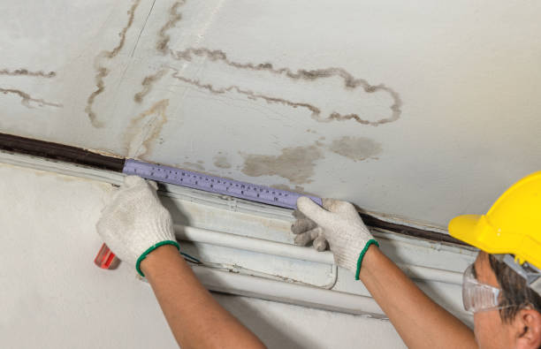 Reliable Sewage Cleanup contractor in Roseville, OH by Water Damage Irwin